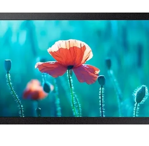 Samsung Professional monitor QB13R 13 inch Matte 16h/7 300(cd/m2) 1920x1080 (FHD) S6 Player Wi-Fi 3 years d2d