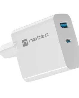 Natec RiberaGAN USB 65W мрежово зарядно