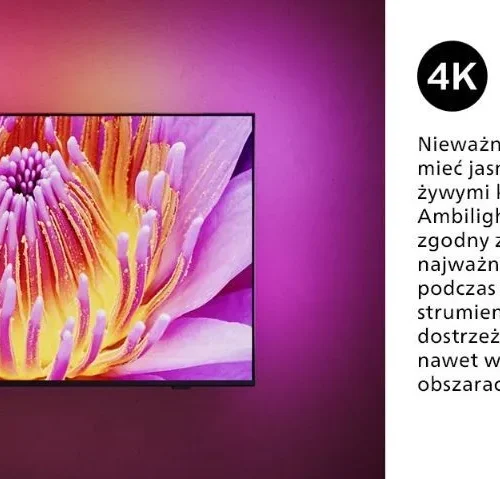 Philips TV LED 75 inches 75PUS8919/12