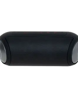 Camry Wireless Bluetooth speaker CR1901
