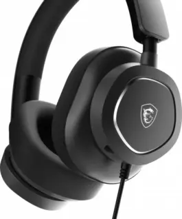 Alternative view of MSI Maestro 300