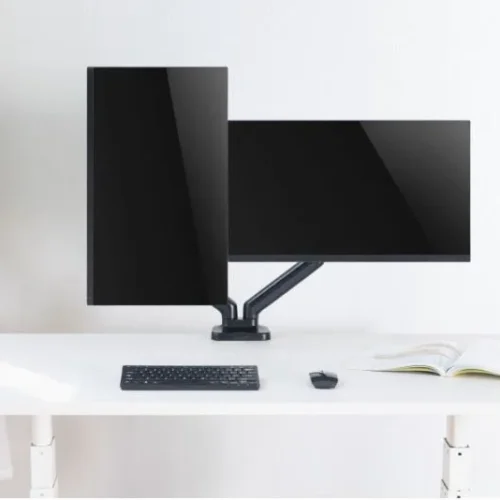 Techly Desk monitor mount 17-3 2cali 9kg