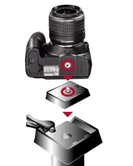 Alternative view of Hama quick relase plate for star 55-63