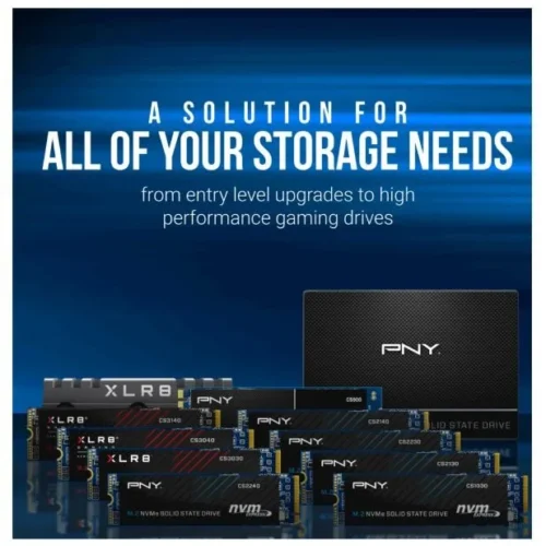 PNY SSD 1TB M.2 2280 BULK M280CS2230-1TB-SI