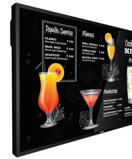 Philips Monitor 55BDL3117P 55 inches Public display