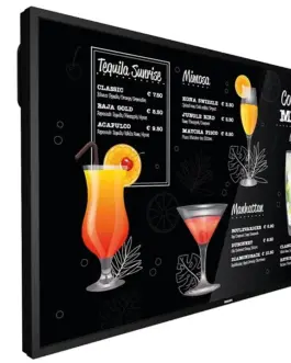 Philips Monitor 55BDL3117P 55 inches Public display