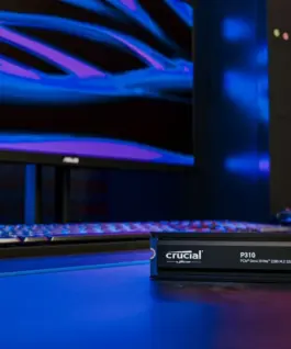 Crucial SSD P310 2TB M.2 NVMe PCIe 4.0 2280 radiator