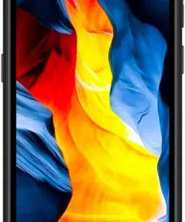 OUKITEL Smartphone G2 4G 4/64GB IP69K no зарядно оранжев