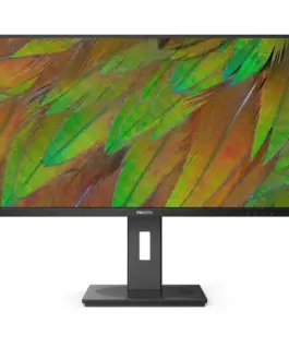 Philips Monitor 31.5 inches 32B1N3800 VA 4K HDMIx2 DP Pivot