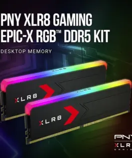 PNY Pamięć DDR5 32GB 6000 C36 2×16 MD32GK2D5600036XRGB