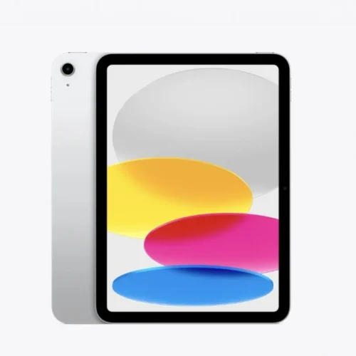 Apple IPAD WF CL 256GB SLV