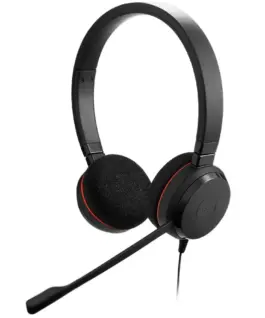 Jabra Jabra Evolve 20 USB-A & USB-C MS Stereo