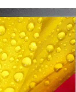 Alternative view of NEC Monitor MultiSync M551-2 55 inches UHD 500cd/m2 24/7