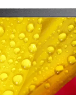 Alternative view of NEC Monitor MultiSync M551-2 55 inches UHD 500cd/m2 24/7