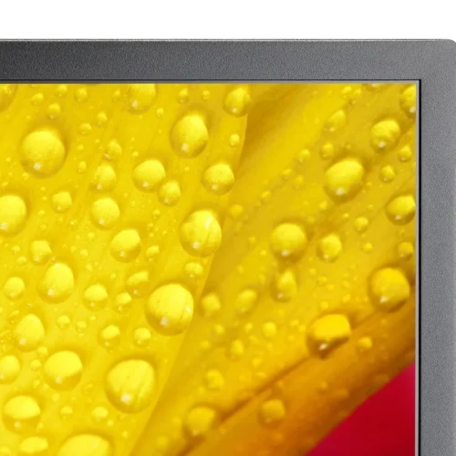 Alternative view of NEC Monitor MultiSync M551-2 55 inches UHD 500cd/m2 24/7