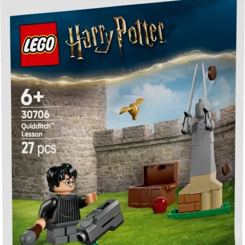 LEGO Bricks Harry Potter 30706 Quidditch Lesson