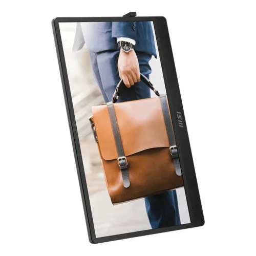 MSI Monitor 15.6 inches PRO MP161 E2U LED/FHD/Flat/60Hz/gray