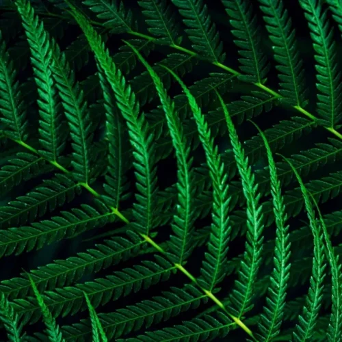 Philips Monitor 23.8 inches 24B2G5200 IPS 100Hz HDMI DP Pivot Speakers