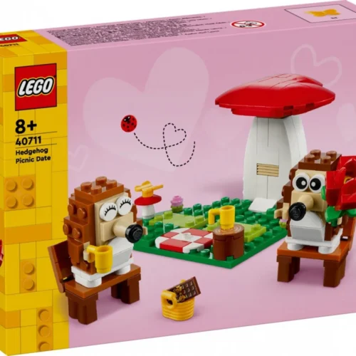 LEGO Hedgehog Picnic Date