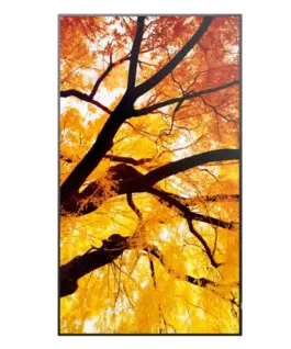 Sharp Monitor wielkoformatowy MultiSync M552 55 инча 550cd/m2 24/7