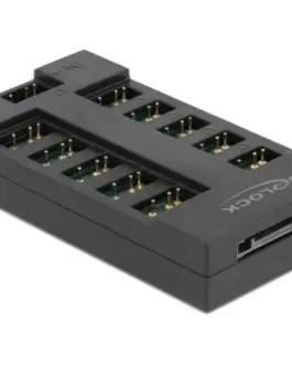 RGB хъб Delock 10 портов ARGB LEDs Черен