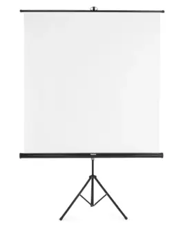 Екран на стойка 155x155 cm 2 в 1 21574