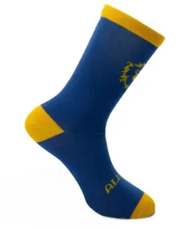 Чорапи ABYSTYLE WORLD OF WARCRAFT Alliance