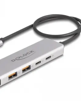 USB хъб Delock 64230 USB-C - 2 x USB-C 2 x USB-A 10 Gbps