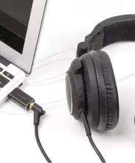 Delock Аудио конвертор