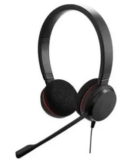Jabra Evolve 20 Duo