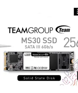Alternative view of SSD диск Team Group MS30 M.2 2280 256GB SATA III