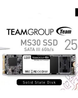 Alternative view of SSD диск Team Group MS30 M.2 2280 256GB SATA III
