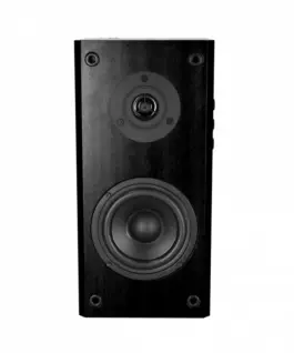 Media-Tech Speakers Audience HQ MT3143