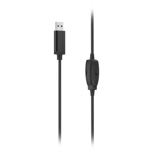 Alternative view of HAMA "HS-USB250 V2" PC Office слушалки, 139934
