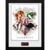 GBEYE HARRY POTTER - Framed print "Hogwarts Water Colour" (30x40)