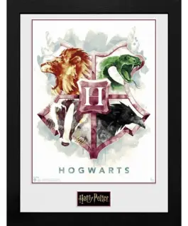 GBEYE HARRY POTTER - Framed print "Hogwarts Water Colour" (30x40)