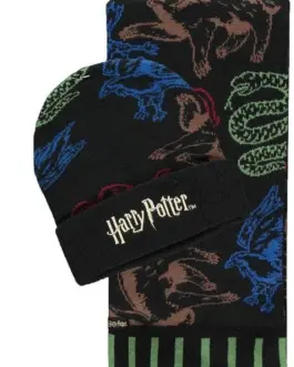 Комплект шал и шапка DIFUZED Harry Potter Черен