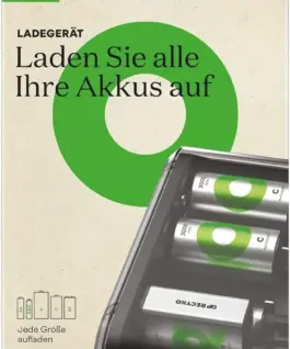 Alternative view of Зарядно у-во с 6 гнезда / 4 канала Universal Charger R6,03,14,20,22  B361 GP