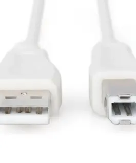 Alternative view of КАБЕЛ USB DIGITUS - USB-A to USB-B - 1,8 m - Beige - PN AK-300102-018-E