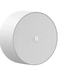 AUDAC WALL-MOUNTED LOUDSPEAKE AUDAC NELO706I/W 65