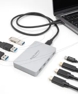 Delock Хъб USB-C