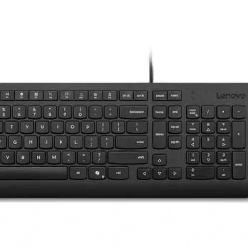 Lenovo Essential Wiчервен Combo Keyboard and Mouse 4X31R64439