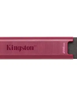 USB памет Kingston 256GB DataTraveler Max Type-A 1000R/900W USB 3.2 Gen 2