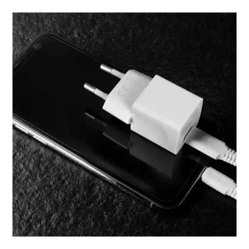 Захранващ адаптер LINDY – USB-C 20W – White – PN