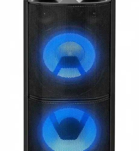 Blaupunkt Party Speaker with Bluetooth and Karaoke PS11DB