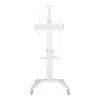 Techly Mobile TV stand 32-70 inches 70kg бял