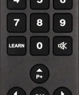 TechniSat Universal remote control Digisenior CE