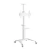 Gembird Aluminum TV floor stand w/wheels бял 37-70