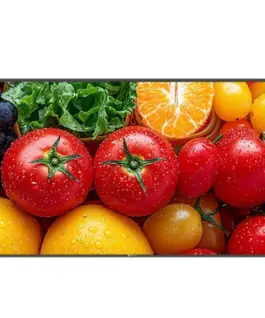 AG NEOVO Display 55 inch QM-5503 4K 500cd/m2 5000:1 HDMI USB-C RJ-45 SPEAKERS 400X400