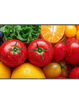 AG NEOVO Display 55 inch QM-5503 4K 500cd/m2 5000:1 HDMI USB-C RJ-45 SPEAKERS 400X400